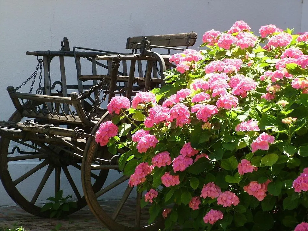 Appartamento Hajós-ház Szeged